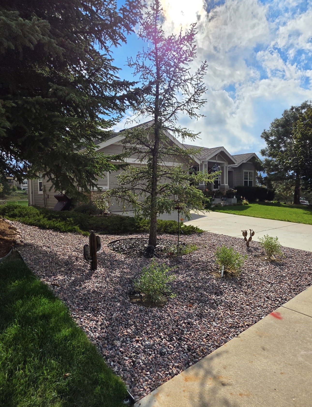 Rock landscaping
